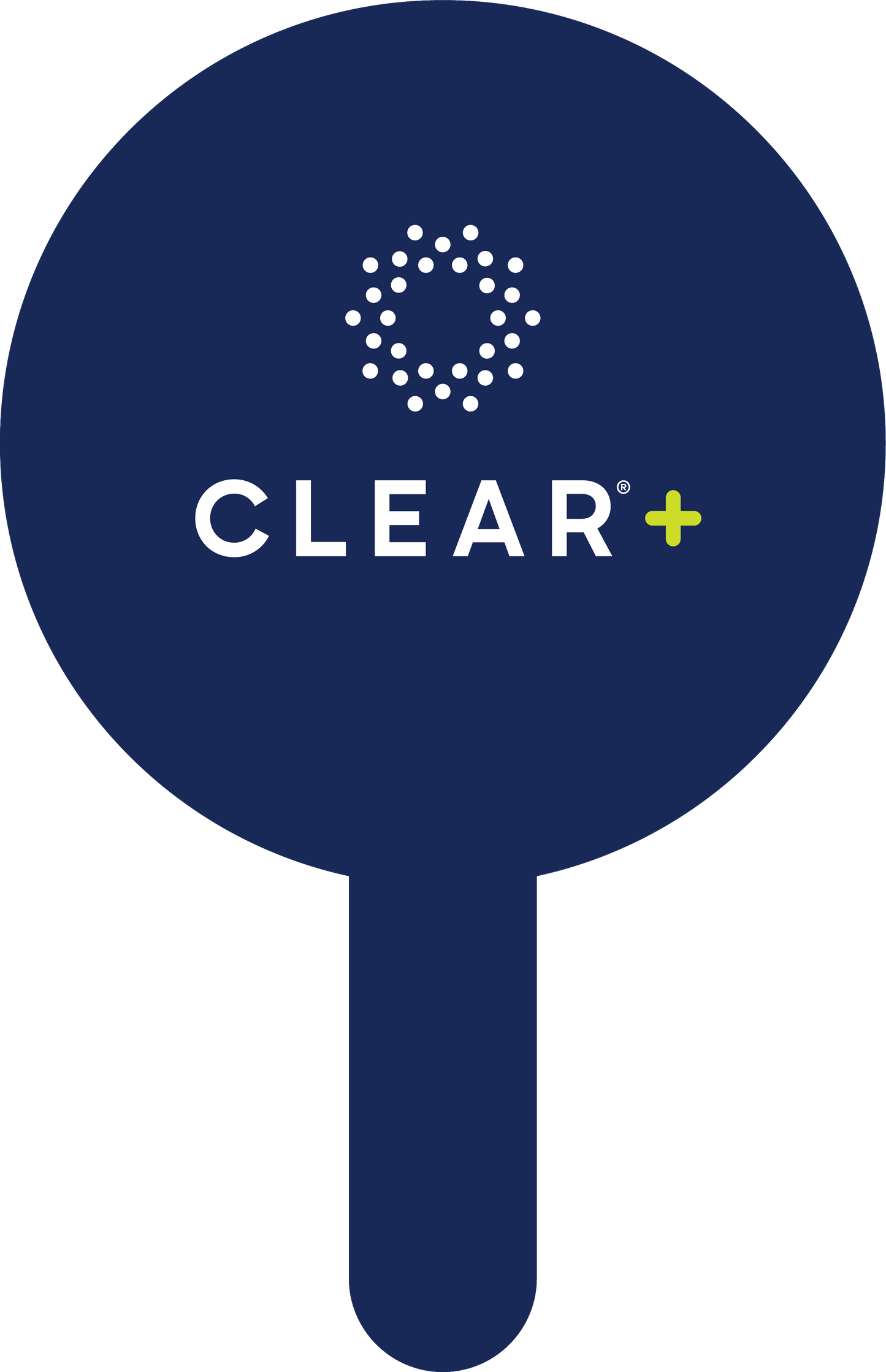 CLEAR+ Paddle